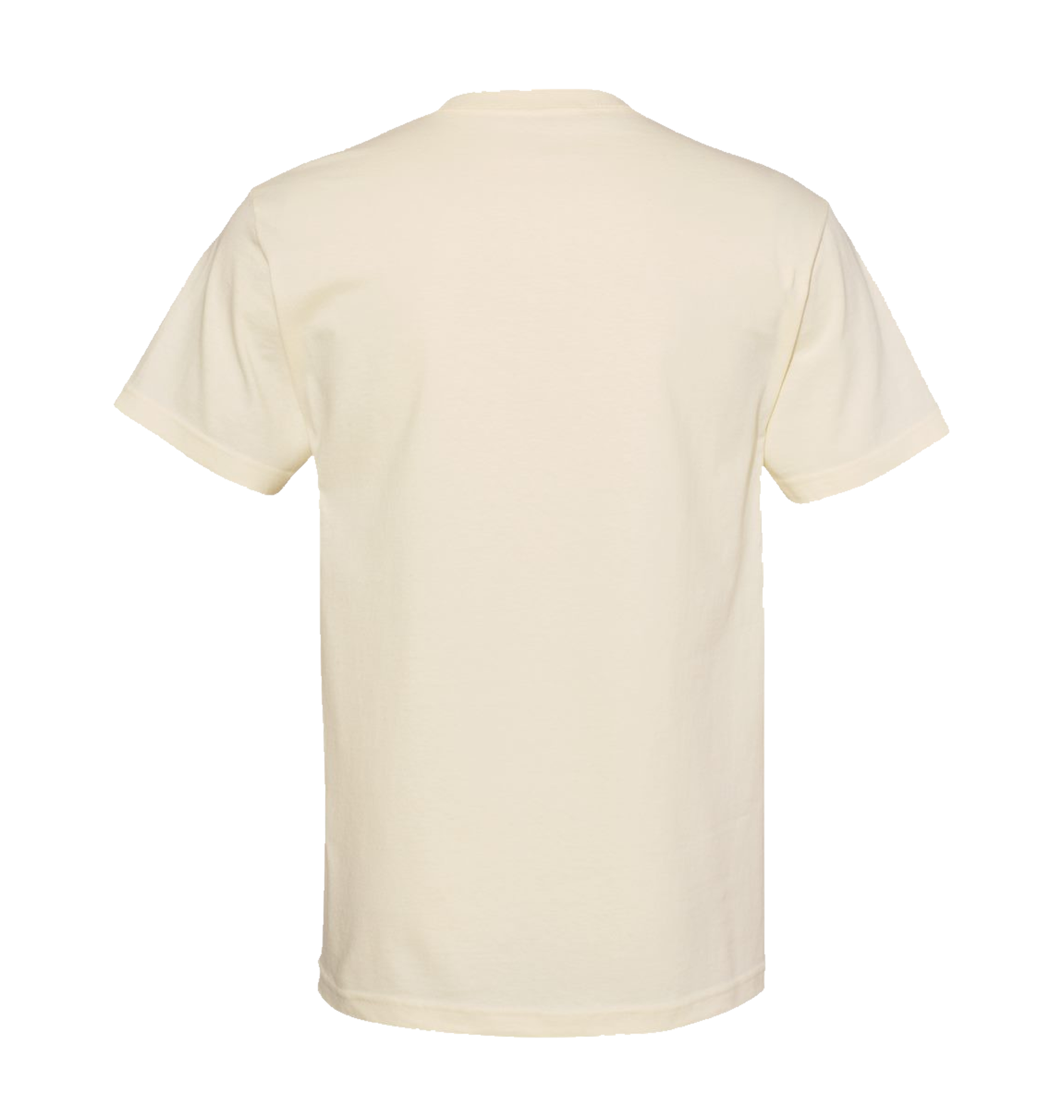 American Apparel - Alstyle 1301 Heavyweight T-Shirt