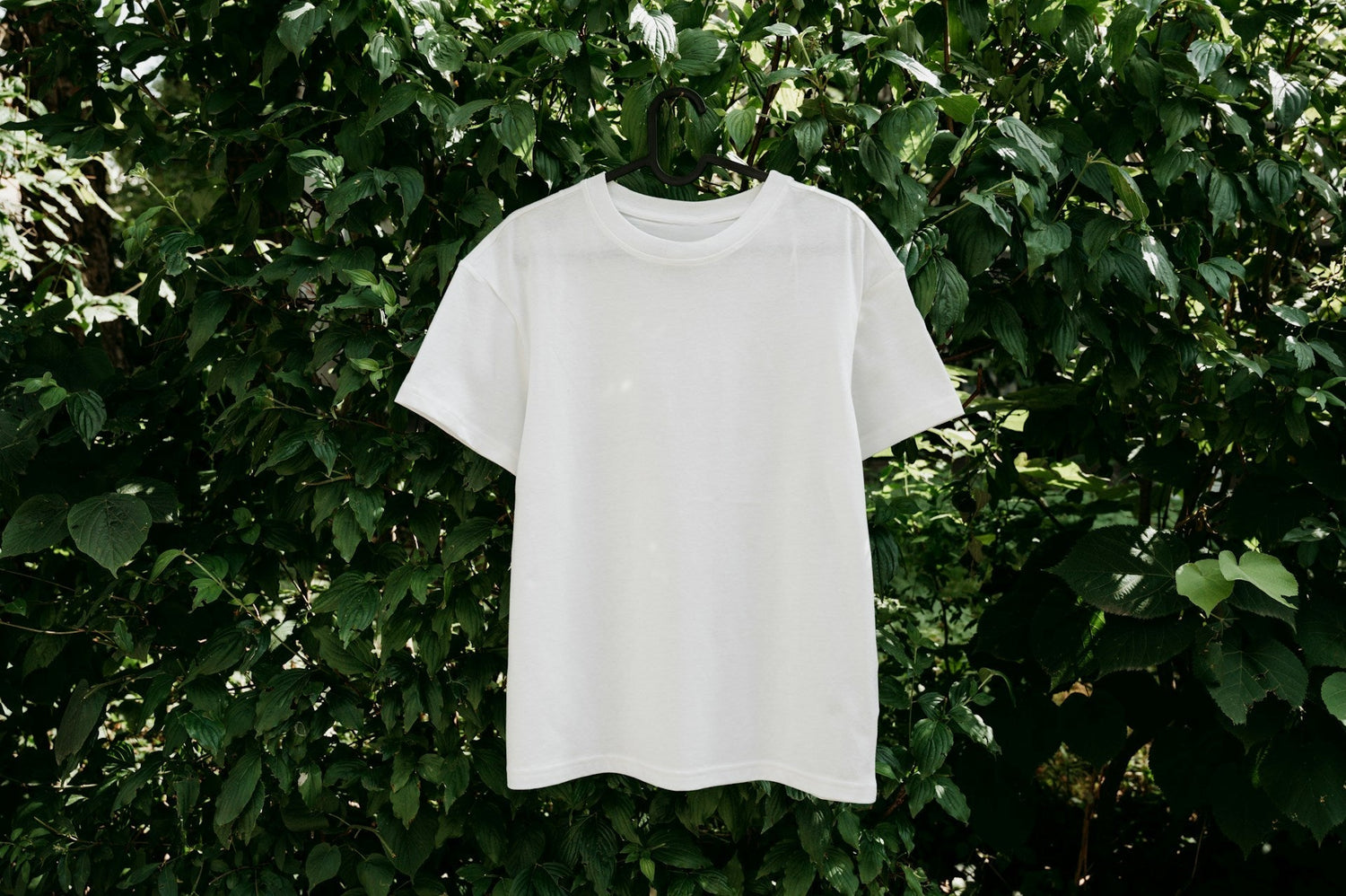 Custom T-Shirts
